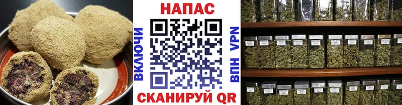 даркнет как зайти  продажа наркотиков  Гаджиево  Печенье с ТГК конопля  гидра маркетплейс 