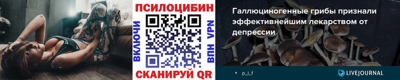 Псилоцибиновые грибы GOLDEN TEACHER  Гаджиево 