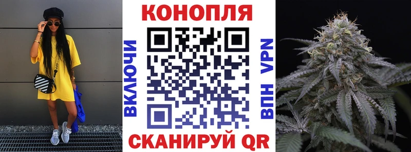 Каннабис Amnesia Гаджиево