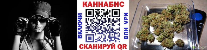 Конопля план  Гаджиево 